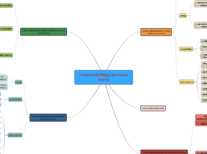 การพยาบาลเด็กที่มีปัญหาสุขภาพระบบปัสสาวะ - Mind Map