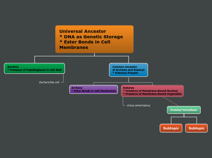 Genetic Storage Universal Ancestor * DNA as Genetic Storag...- Mind Map