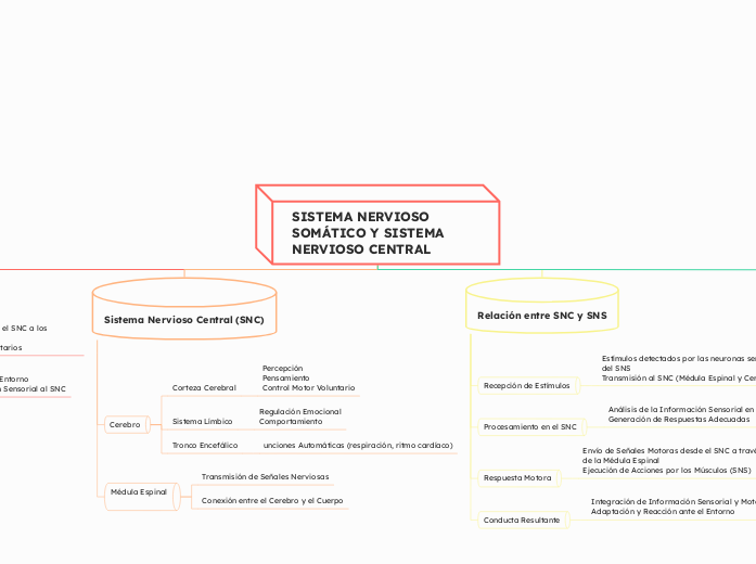 SISTEMA NERVIOSO SOMÁTICO Y SISTEMA NERVIOSO CENTRAL
