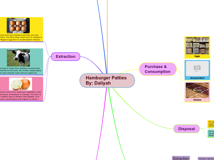 Hamburger Patties   By: Daliyah - Mind Map