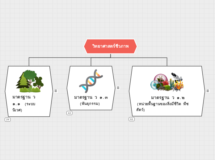 วิทยาศาสตร์ชีวภาพ - Mind Map