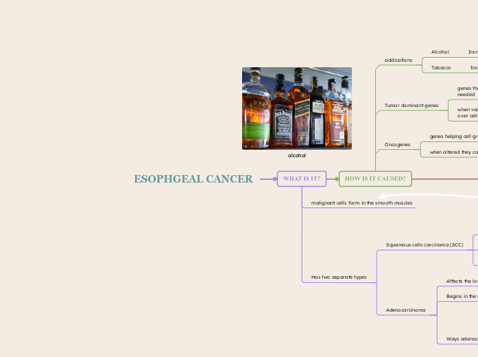 ESOPHGEAL CANCER