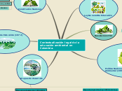 Mapa Mental Educaci&oacute;n Ambiental 