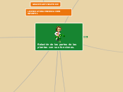 Relación de las partes de las plantas c...- Mapa Mental