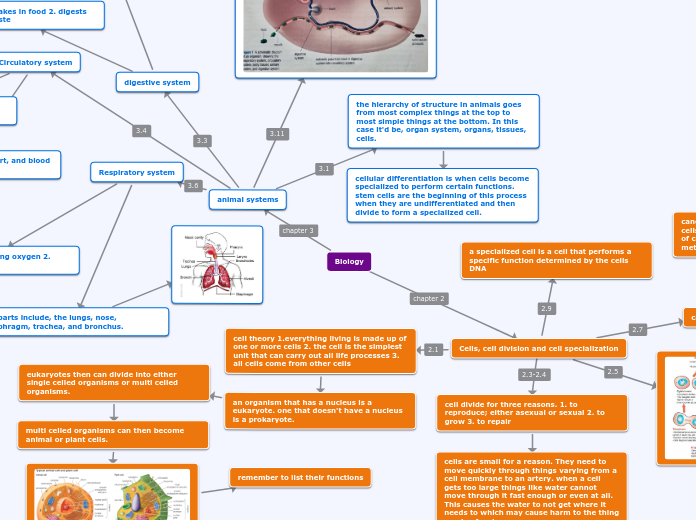 Biology - Mind Map