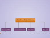 Derechos de la familia en la escuela - Mapa Mental