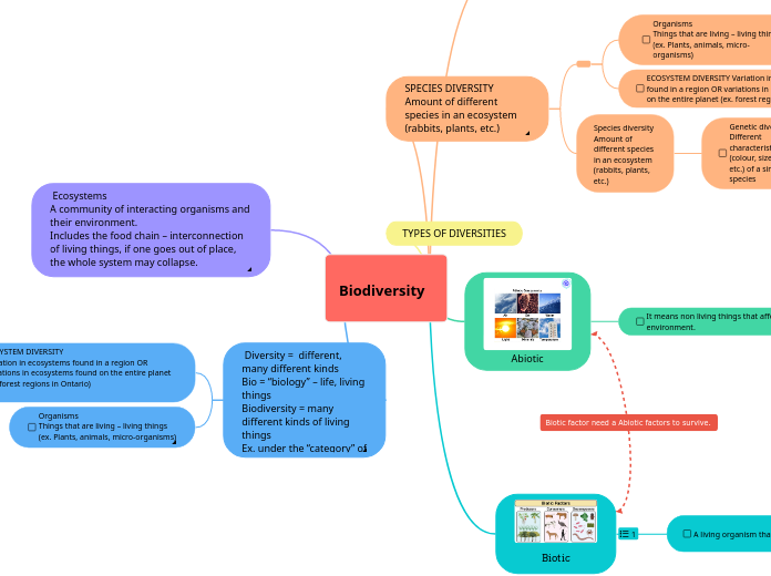 Biodiversity - Mind Map