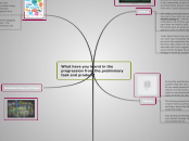 Evaluation - Mind Map