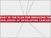 WHAT IS THE PLAN FOR REDUCING THE LIKELIHO...- Mind Map