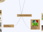 ARTE PSICODELICO - Mapa Mental