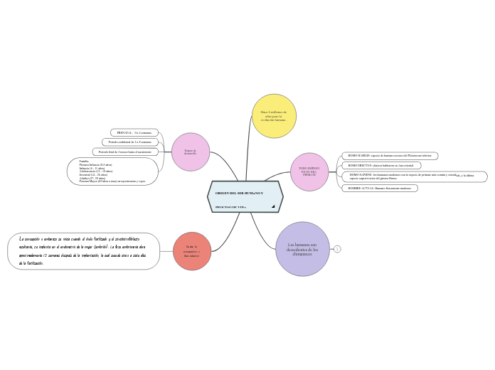 ORIGEN DEL SER HUMANO Y PROCESO DE VIDA - Mapa Mental