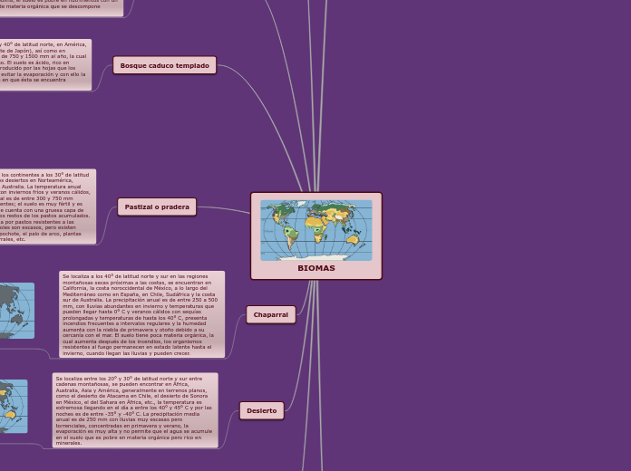 Mind Map Maps Example Biomes BIOMAS - Mind Map