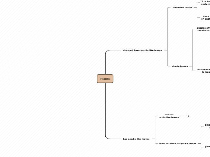 Plants - Mind Map