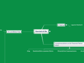 Survival of life - Mindmap