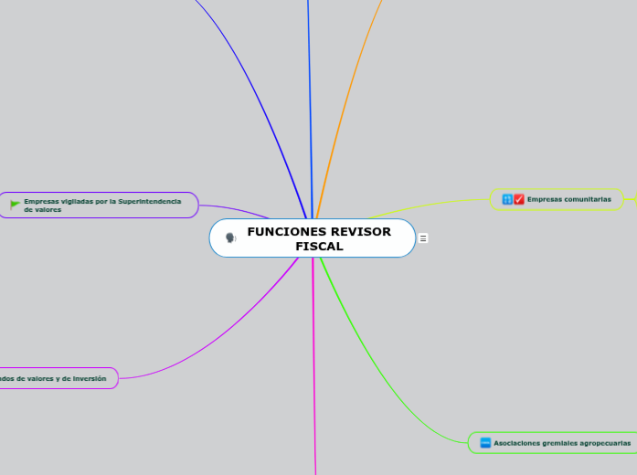 FUNCIONES REVISOR FISCAL