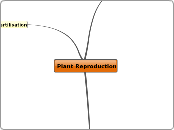 Plant Reproduction - Mind Map