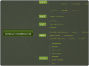
DEMOCRATIC ORGANIZATION - Mind Map