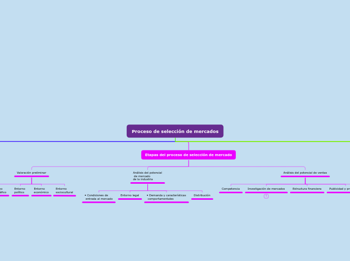 Proceso de selección de mercados - Mapa Mental