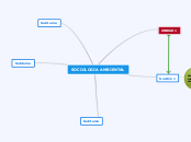 SOCIOLOGIA AMBIENTAL - Mapa Mental