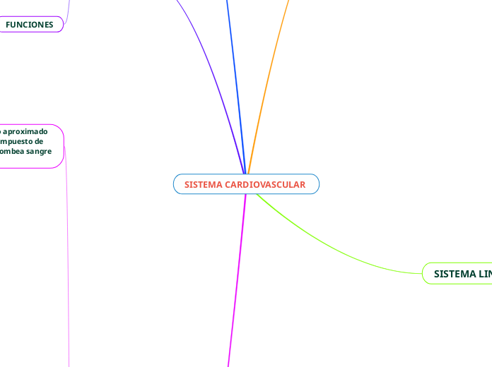 SISTEMA CARDIOVASCULAR - Mapa Mental