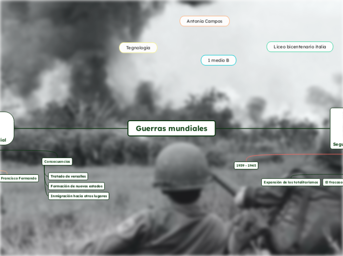 Guerras mundiales
