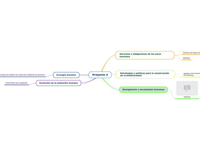 Proyecto 3 - Mind Map