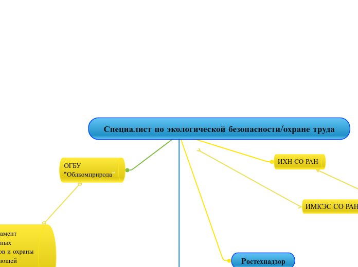 Специалист по экологической безо...- Мыслительная карта