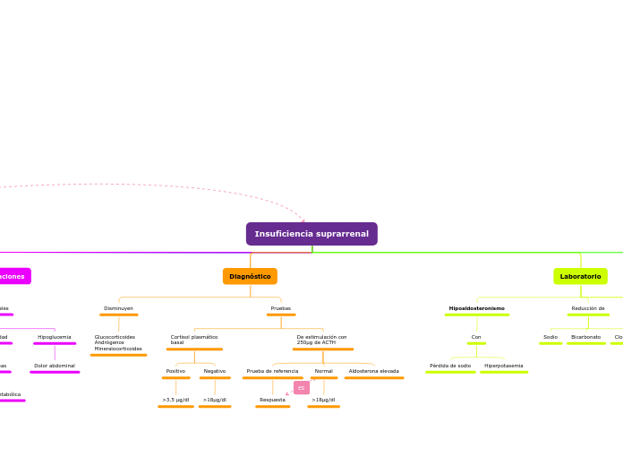 Insuficiencia suprarrenal - Mapa Mental