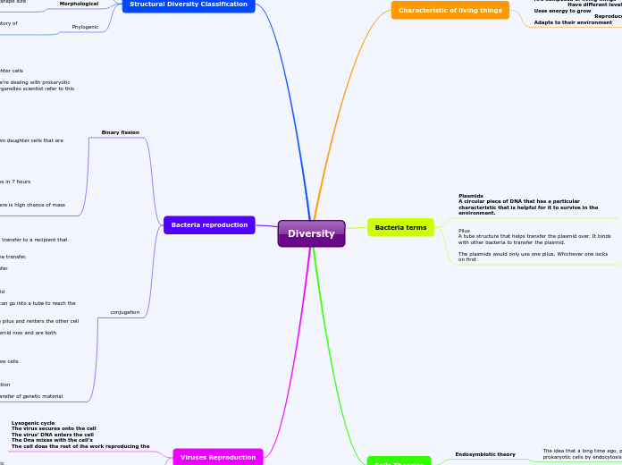 Diversity - Mind Map