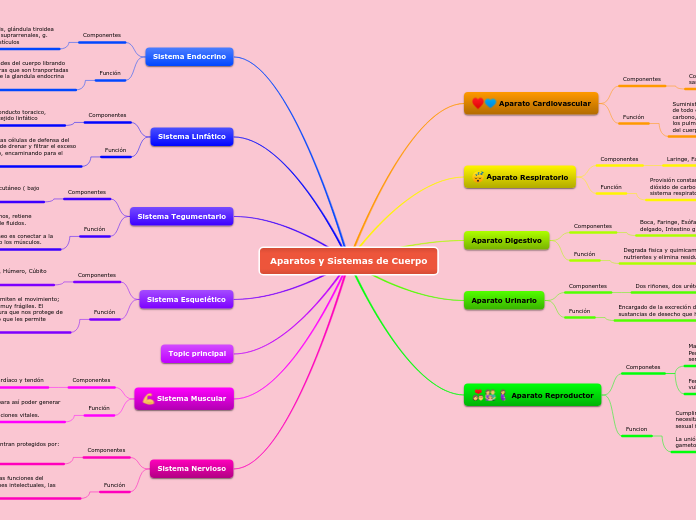 Aparatos y Sistemas de Cuerpo - Mapa Mental