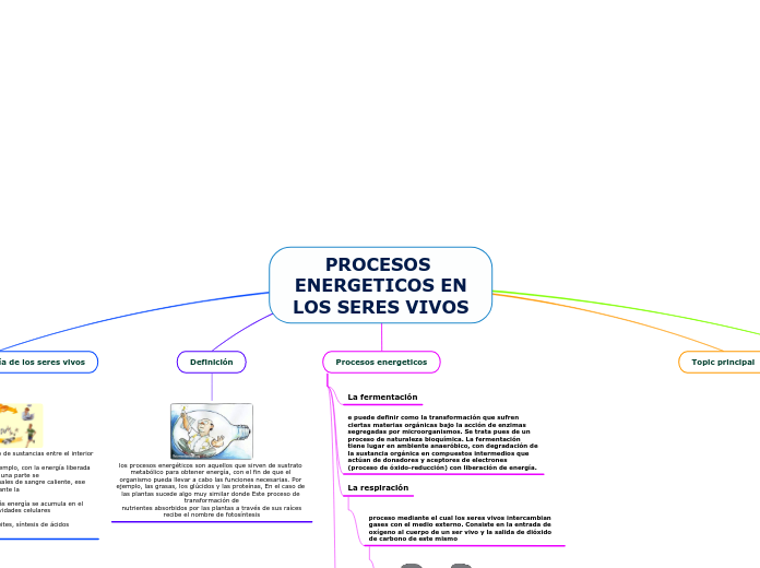 PROCESOS ENERGETICOS EN
LOS SERES VIVOS - Mapa Mental