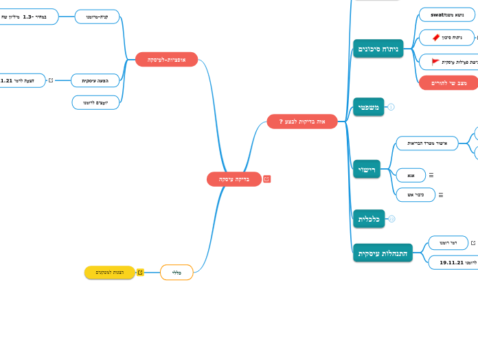 בדיקה עיסקה - Mind Map