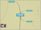 METABOLISMO
DE PROTEÍNAS - Mapa Mental