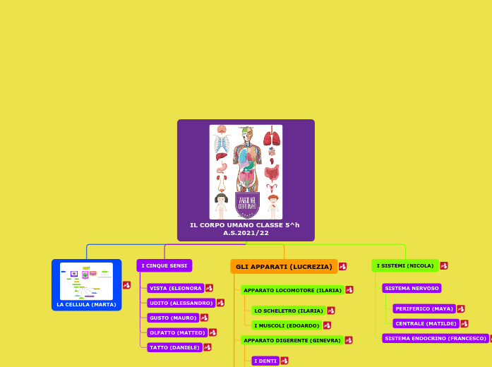 IL CORPO UMANO CLASSE 5^h A.S.2021/22 - Mappa Mentale