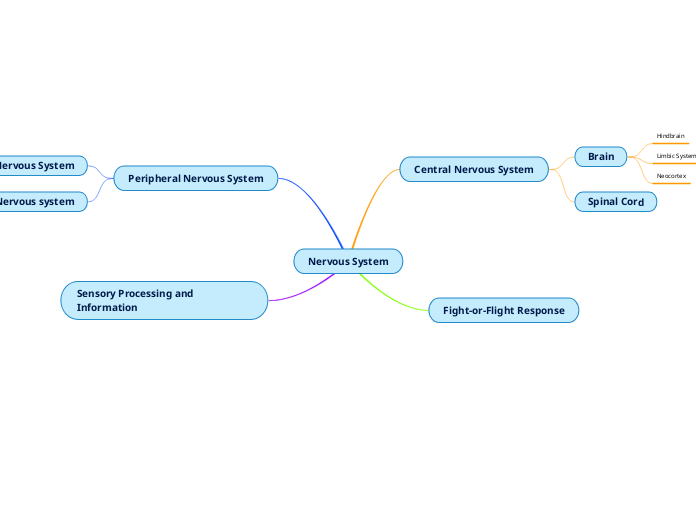 Nervous System - Mind Map
