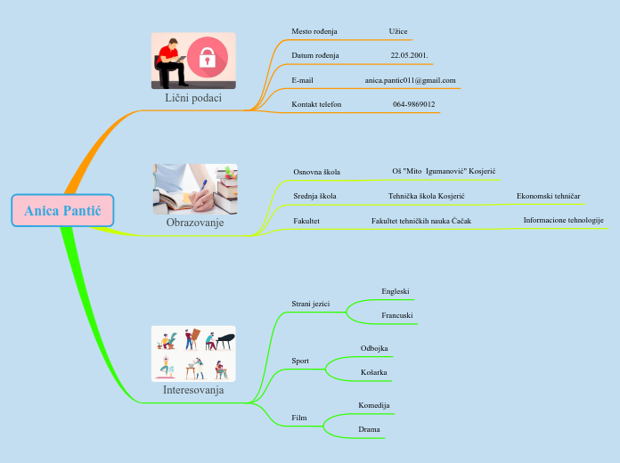Anica Pantić - Mind Map