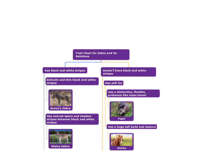 Trait Chart for Zebra and its Relatives
