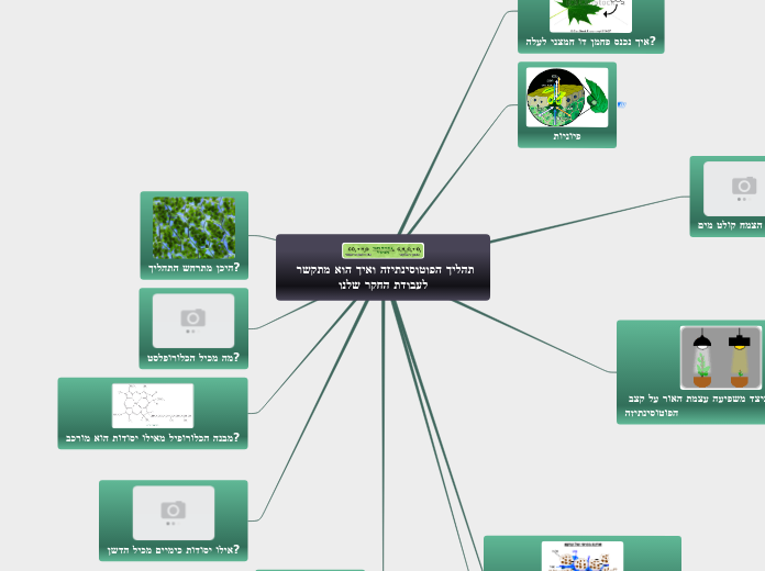 פוטוסינתיזה - Mind Map