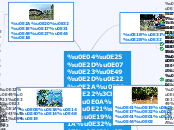 คลองร้อยสาย
ชุมชนบางใบไม้ - Mind Map