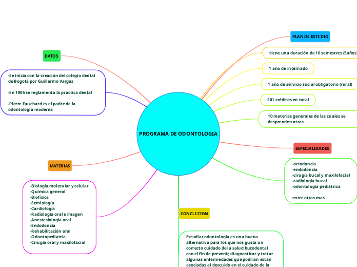 PROGRAMA DE ODONTOLOGIA - Mapa Mental