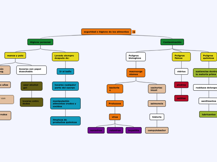 seguridad e higiene de los alimentos - Mapa Mental