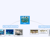 Ribe - Mind Map