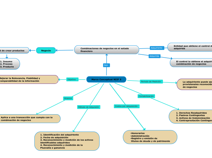 Marco Conceptual NIIF 3 - Mapa Mental