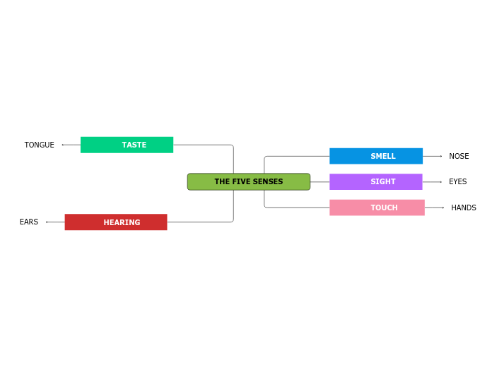 THE FIVE SENSES - Mind Map