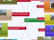 ΦΥΤΑ - Mind Map