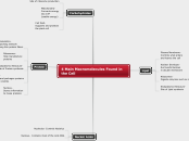 4 Main Macromolecules Found in the Cell - Mind Map