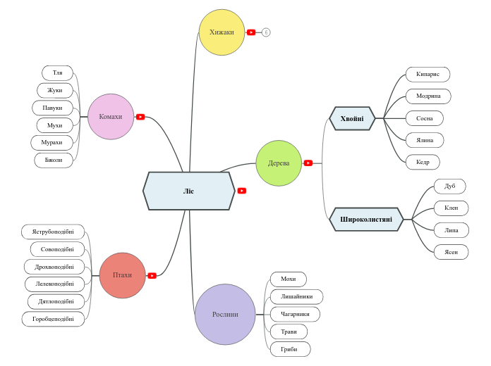 Ліс - Mind Map