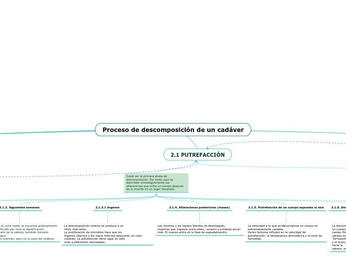 Proceso de descomposición de un cadáver