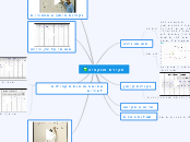 חקירת פונקציה - Mind Map