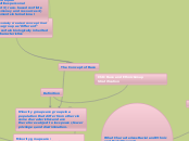 Ch 8:Race and Ethnic Group Stratification - Mind Map